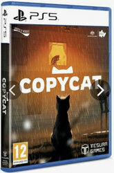 PS5 Copycat